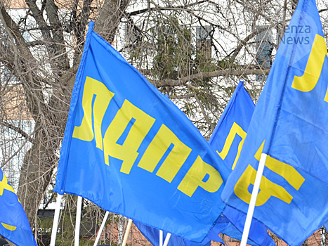 Рекаев возглавил региональную группу списка ЛДПР на выборах в Госдуму
