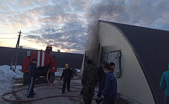 В Татарстане произошел пожар в цехе по разведению индюков