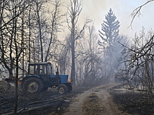 Чернобыльская зона снова загорелась