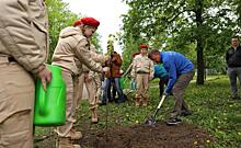 В парке Дзержинского куряне высадили 200 клёнов, дубов и берез