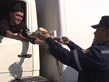 Как спасатели МЧС кормили дальнобойщиков на границе — видео