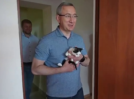 Владислав Шапша вернул хозяевам кота-новосела