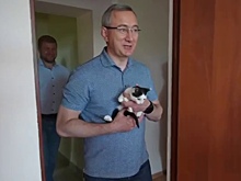 Владислав Шапша вернул хозяевам кота-новосела