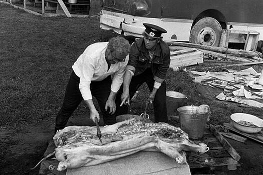 Неизвестный остров. Забытые в подвале фотопленки заново открыли Сахалин миру. Что оказалось на этих кадрах?