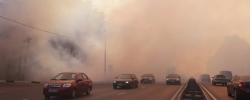 Врач-пульмонолог Попова объяснила опасность смога жителям Новосибирска
