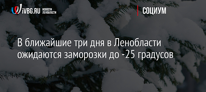 В ближайшие три дня в Ленобласти ожидаются заморозки до -25 градусов