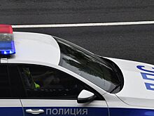Лихачом, чуть не сбившим женщину в Москве, оказался боец MMA