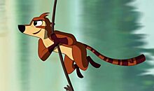 Бабочка, лягушка и... коати: выходит мультфильм о животных с Амазонки