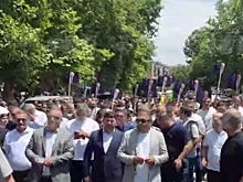 В Армении прошла манифестация в поддержку бизнесмена Карапетяна