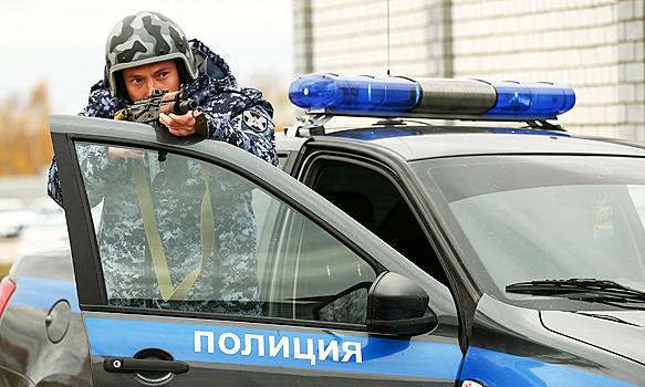 Вооруженные люди захватили администрацию садоводства под Петербургом