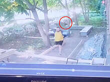 В центре Костромы медведь разгуливал по улицам и напугал прохожих