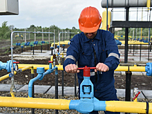 На Украине рассказали о «троянском коне» против «СП—2»