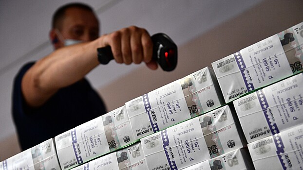 Легализуют «подарки» и делают тайники: раскрыты секреты российских коррупционеров