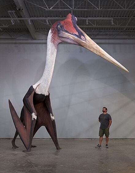 Кетцалькоатль – самое большое известное летающее животное, которое когда-либо существовало.