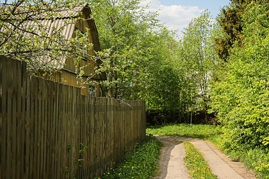 Власти России официально определили признаки неиспользуемых земельных участков