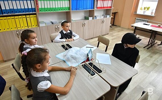 В школах и детсадах Казани с 1 сентября запустят программу "Мы в ответе за тех, кого приручили"