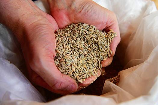 В России предложили ограничить продажу самогонных аппаратов