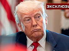 Американист назвал пошлины Трампа на сталь в 50% главным ударом по ЕС