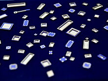 Эксперты предупредили об угрозе «чиповой лихорадки»