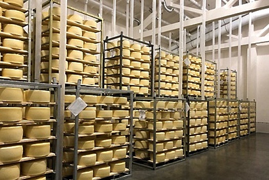 ООО «ЭкоФарминг» стало 3 резидентом в Подмосковье для реализации проекта сырного кластера