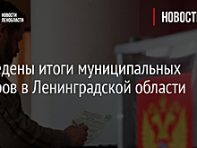 Подведены итоги муниципальных выборов в Ленинградской области