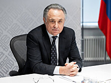 Мутко предложил футболисту Ибрагимовичу паспорт России