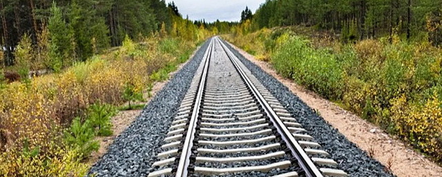 РЖД: на строительство железной дороги из Якутии до Магадана потребуется 3 трлн рублей