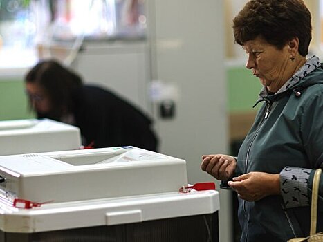 Общественная палата Москвы организует наблюдение за выборами глав регионов