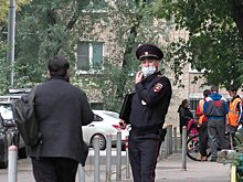 Омбудсмен Москвы взяла на контроль ситуацию с отравлением семьи арбузом