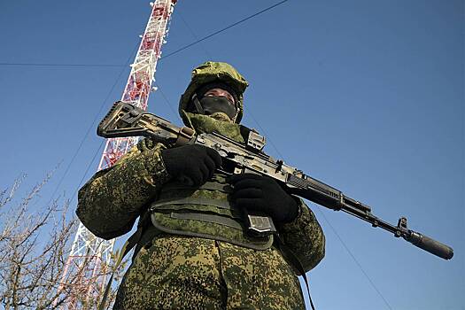 Военный блогер рассказал о «полосатых» и «зеленых» на границе России в Курской области