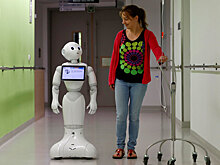 К 2024 году в некоторые петербургские больницы поставят роботов-помощников