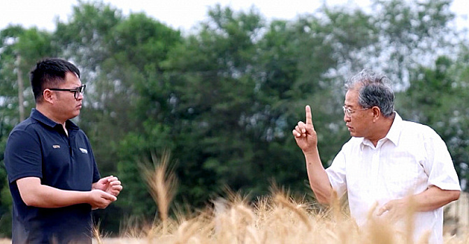 Китайская провинция сотрудничает со странами ШОС в области сельского и лесного хозяйства