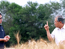 Китайская провинция сотрудничает со странами ШОС в области сельского и лесного хозяйства