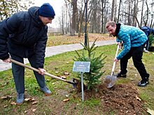 В парке Раменского появилась аллея болельщиков «Сатурна»