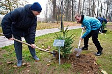 В парке Раменского появилась аллея болельщиков «Сатурна»