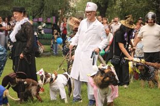 В Омске пройдёт выставка беспородных собак «Крутой дворянин-2017»