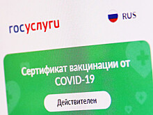 Голикова: в декабре "Госуслуги" смогут выдавать сертификат по тесту на антитела к коронавирусу