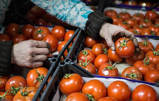 Россельхознадзор частично снял запрет на ввоз томатов из Казахстана