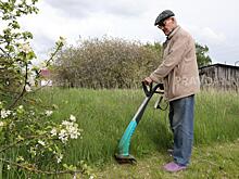 Росреестр объявил размер штрафов за неосвоение и нецелевое использование земли