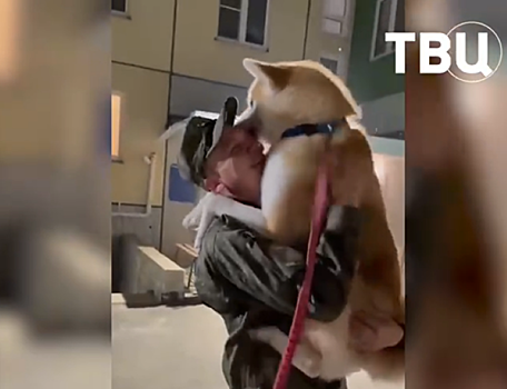 Так выглядит настоящее счастье: долгожданная встреча челябинского бойца и его питомцев