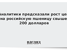 Ценам на российскую пшеницу предрекли рост