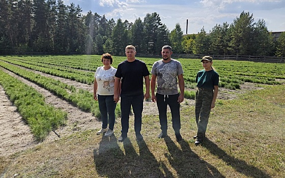 Депутаты Рязанской облдумы посетили лесные хозяйства региона