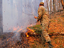 В Новосибирске создадут цифровую модель прогнозирования лесных пожаров