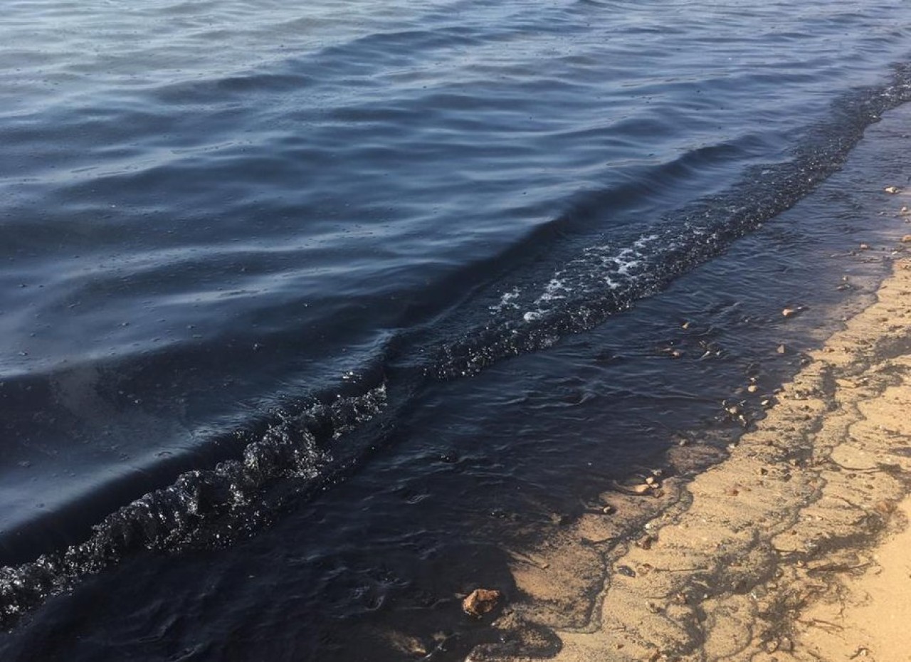 Загрязнение моря зафиксировали во Владивостоке