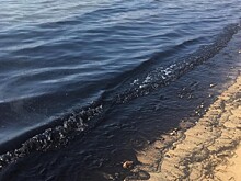 «Черный яд» окружает Владивосток