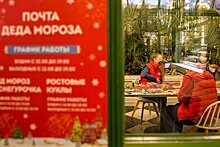 В Москве на 20 фестивальных площадках появилась возможность написать письмо Деду Морозу