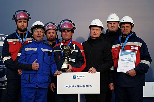 Лучшие специалисты по работе с ЛЭП 35 кВ и выше трудятся в "Пермэнерго"