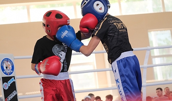 В Волгограде состоится межрегиональный турнир по боксу