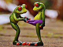 Старые трусы не выбрасываем: как дать нижнему белью вторую жизнь