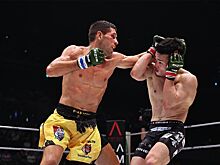 Виктор Колесник — Йосики Накахара, Rizin 46, кто победил, как закончился бой, результат, обзор поединка, итоги